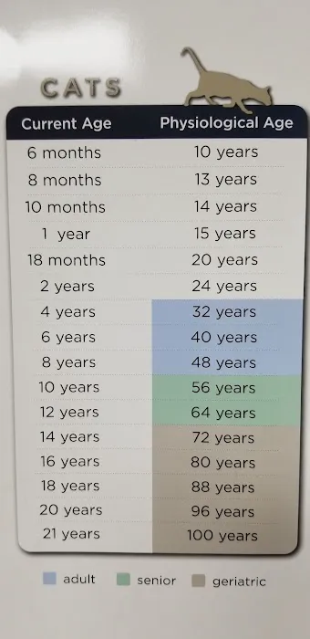 Louisa Veterinary Clinic PC Picture 2