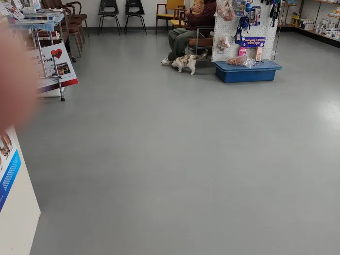 Louisa Veterinary Clinic PC Picture 1