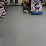 Louisa Veterinary Clinic PC