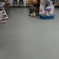 Louisa Veterinary Clinic PC ico