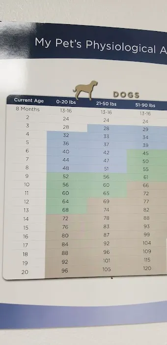 Louisa Veterinary Clinic PC Picture 3