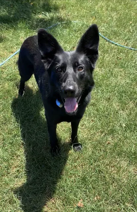 Tender Care Animal Hospital Picture 2