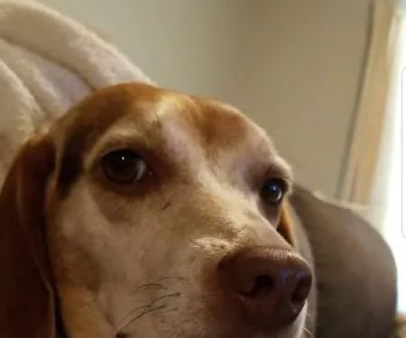 Tender Care Animal Hospital