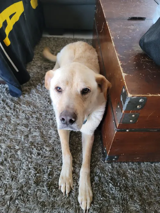 Tender Care Animal Hospital Picture 5