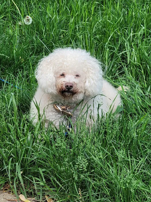 Tender Care Animal Hospital Picture 6