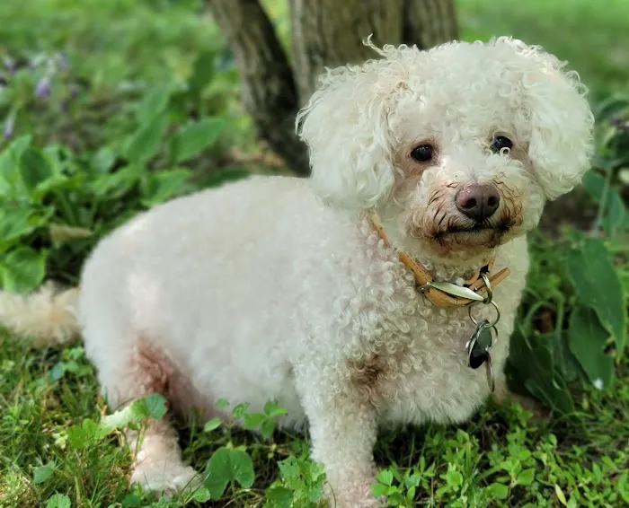 Tender Care Animal Hospital Picture 3