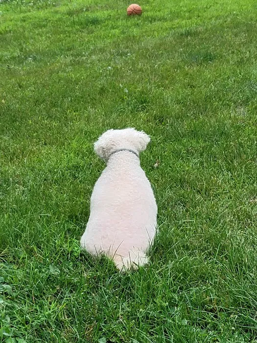 Tender Care Animal Hospital Picture 7