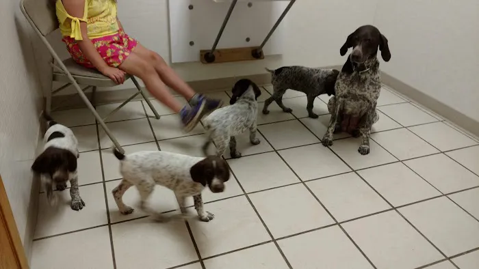 Tender Care Animal Hospital Picture 10