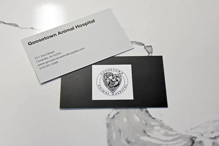 Goosetown Animal Hospital Picture 3