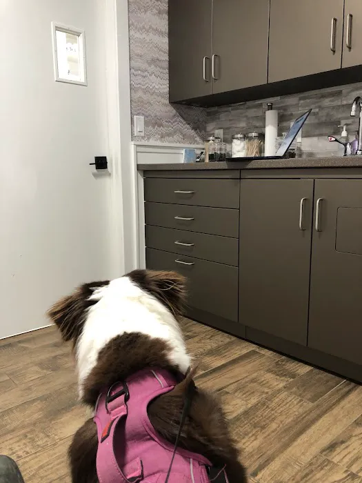 Goosetown Animal Hospital Picture 2