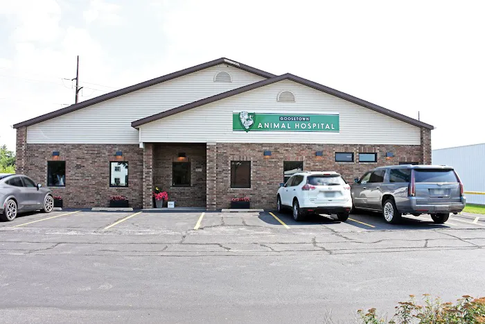 Goosetown Animal Hospital Picture 8