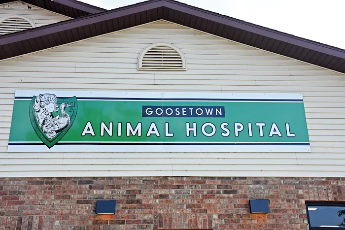 Goosetown Animal Hospital Picture 6
