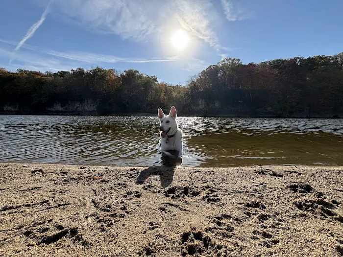 Goosetown Animal Hospital Picture 10