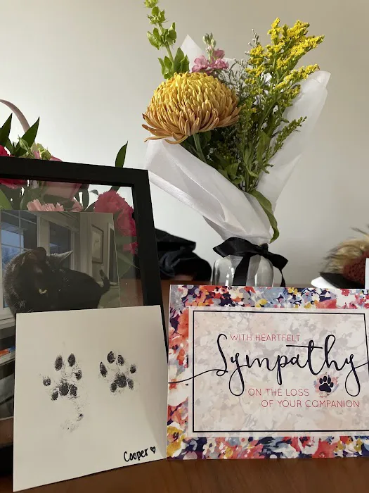 Coralville Animal Hospital Picture 7