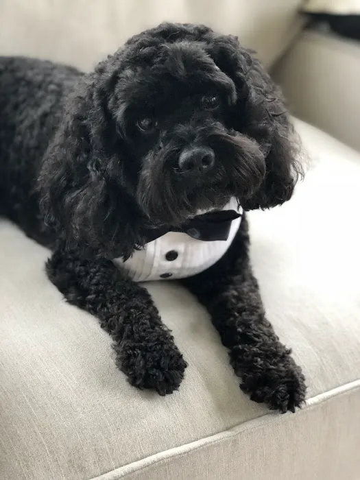 Coralville Animal Hospital Picture 9