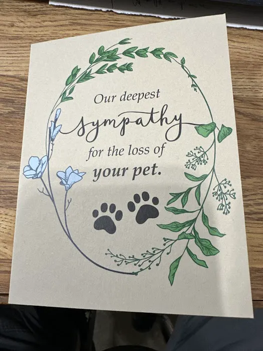 River Basin Equine Veterinary Picture 2