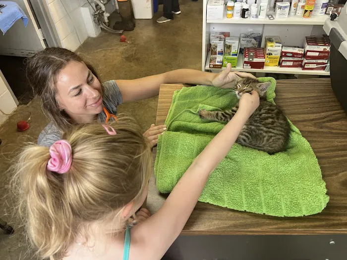 River Basin Equine Veterinary Picture 5