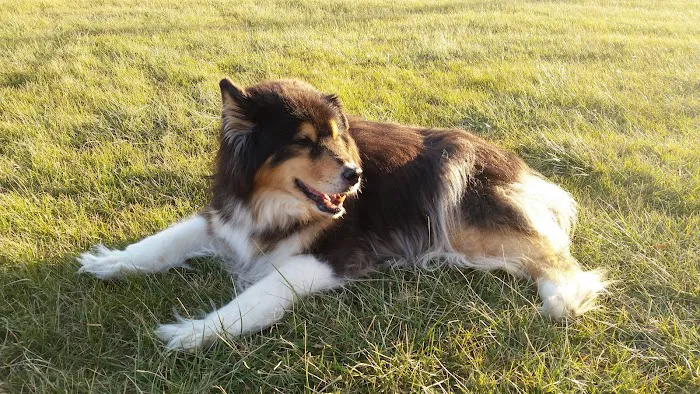 River Basin Equine Veterinary Picture 7