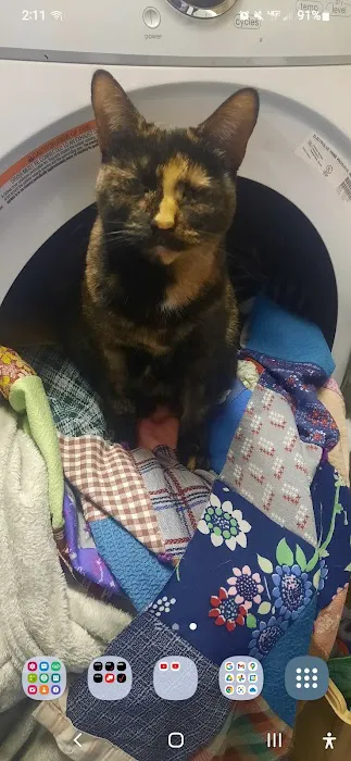 All Pets Veterinary Clinic Picture 2