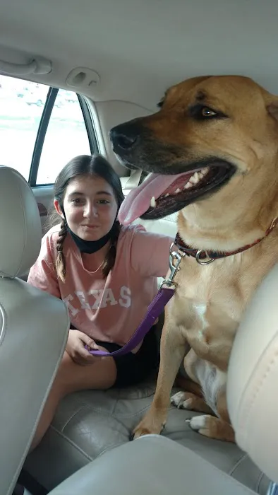 All Pets Veterinary Clinic Picture 8