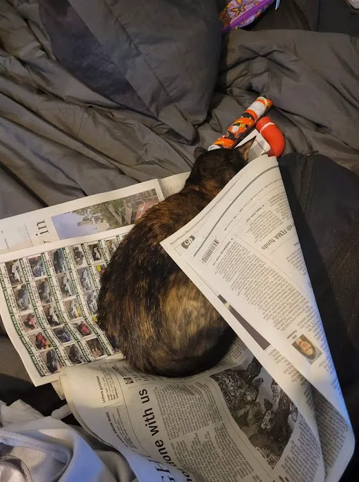 All Pets Veterinary Clinic Picture 5