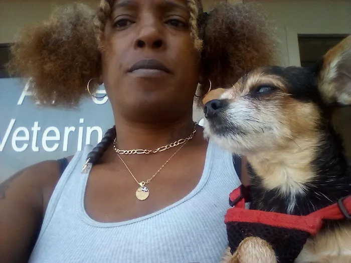 All Pets Veterinary Clinic Picture 6