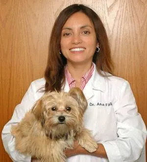 Holistic Pet Vet Picture 1