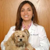 Holistic Pet Vet ico