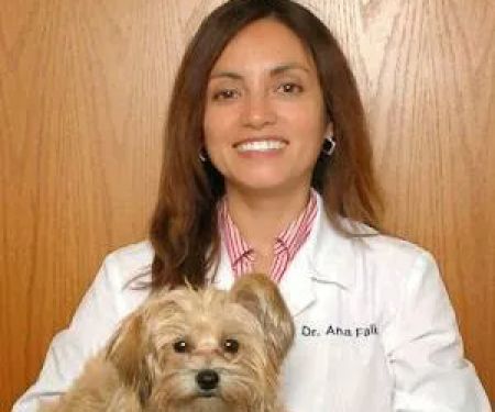 Holistic Pet Vet