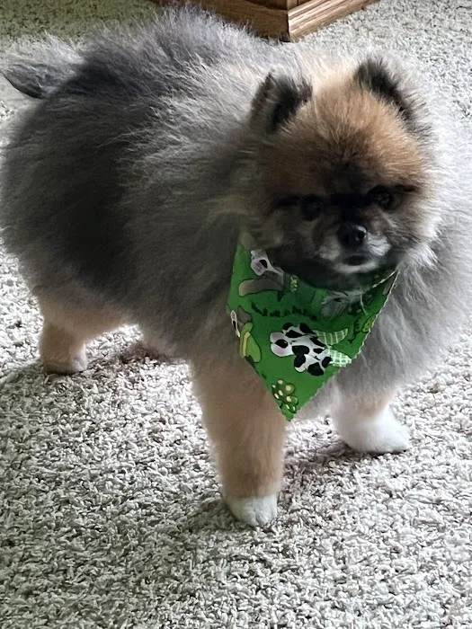 North Liberty Pet Clinic Picture 5