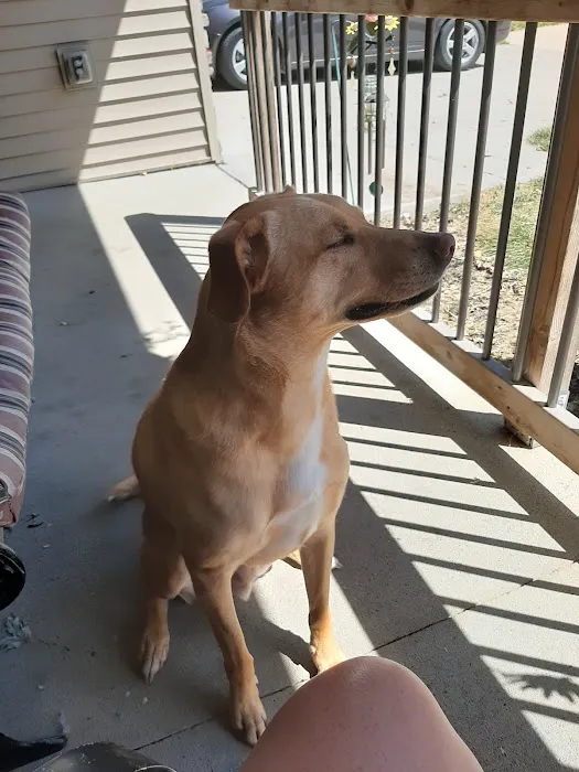 North Liberty Pet Clinic Picture 6