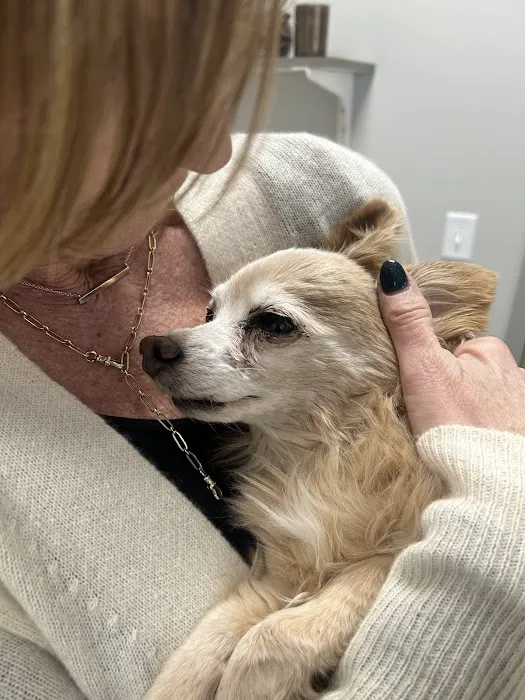 North Liberty Pet Clinic Picture 9