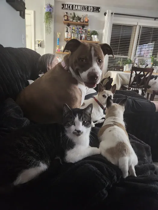 Bushnell Veterinary Service Picture 6