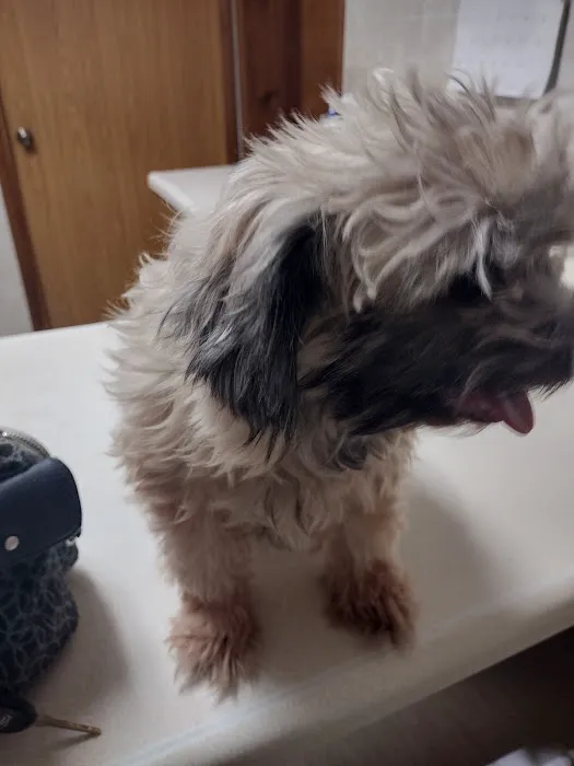 Bushnell Veterinary Service Picture 2