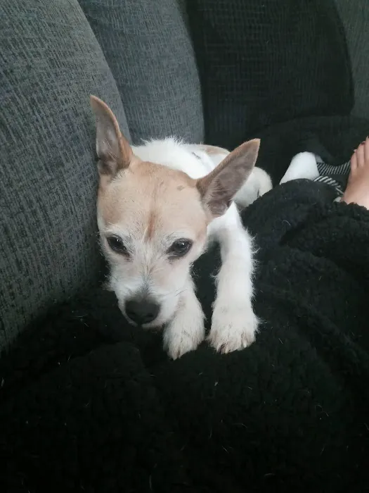 Bushnell Veterinary Service Picture 5