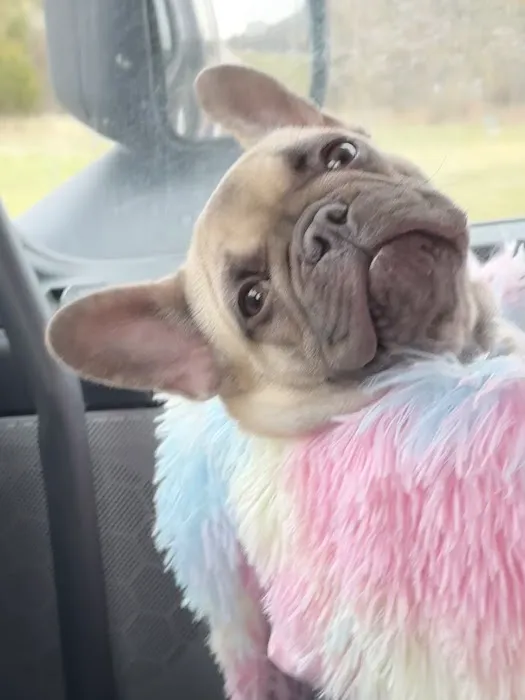 Bushnell Veterinary Service Picture 3