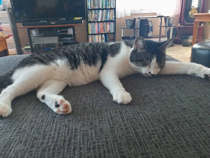 Bushnell Veterinary Service Picture 7