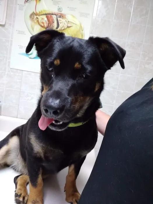 Bushnell Veterinary Service Picture 10