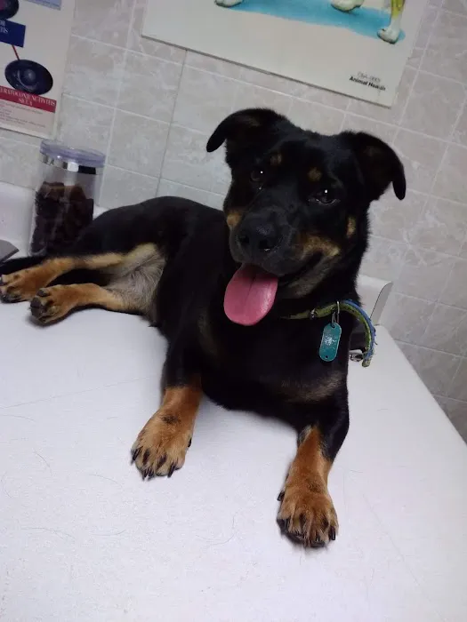 Bushnell Veterinary Service Picture 9