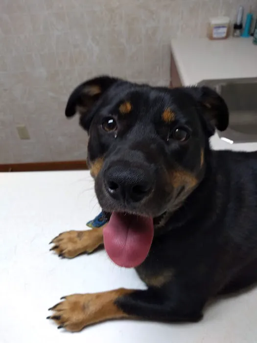 Bushnell Veterinary Service Picture 8