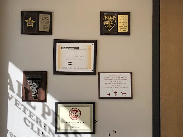 All Pets Veterinary Clinic Picture 4