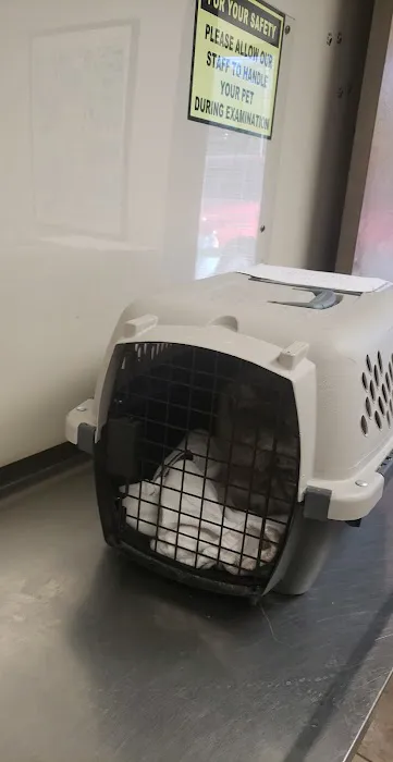 All Pets Veterinary Clinic Picture 5