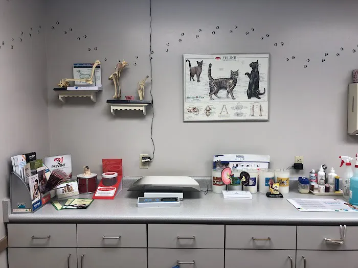 All Pets Veterinary Clinic Picture 8