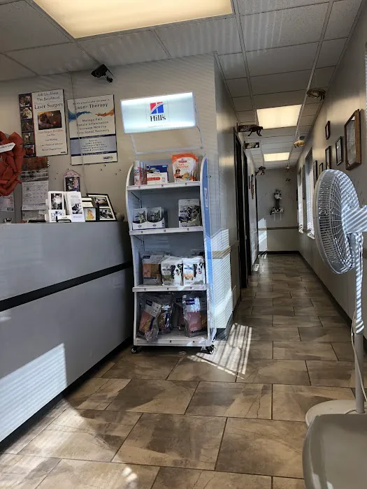 All Pets Veterinary Clinic Picture 6