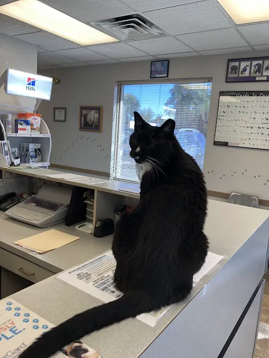 All Pets Veterinary Clinic Picture 7