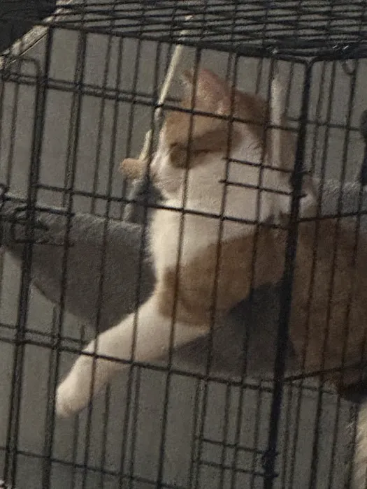 Charles E. Lotz, D.V.M. Picture 1