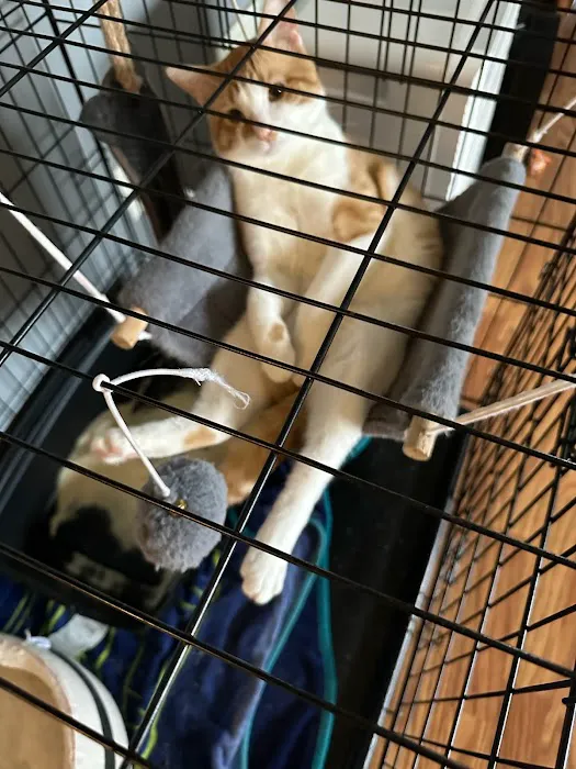 Charles E. Lotz, D.V.M. Picture 2