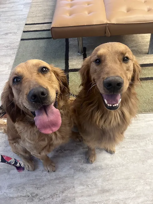 Animal Medical Center of Macomb Picture 3