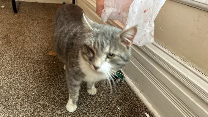 Animal Medical Center of Macomb Picture 2