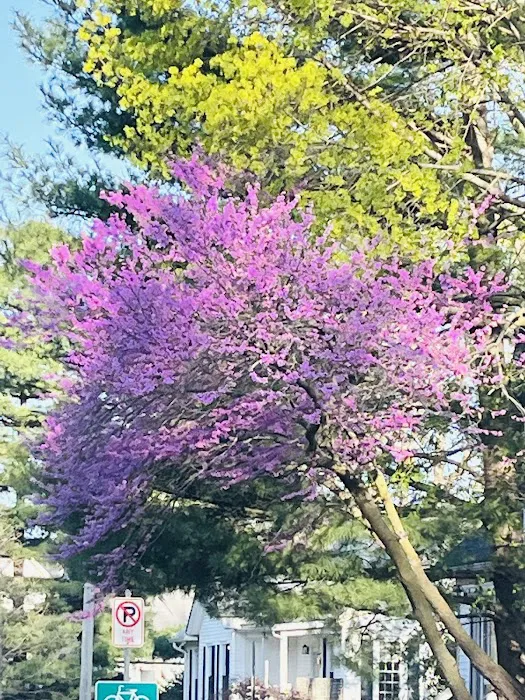 Animal Medical Center of Macomb Picture 7